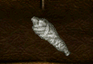 Mummified Corpse - Click Image to Close